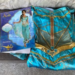 Jasmine Halloween costume